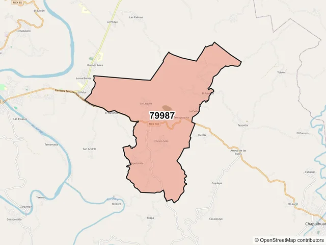 Mapa del código postal 79987, Tamazunchale, San Luis Potosí
