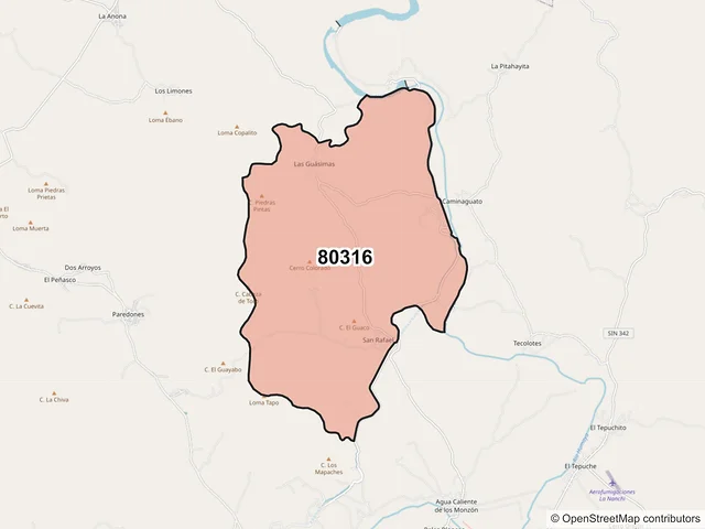 Mapa del código postal 80316, Culiacán, Sinaloa