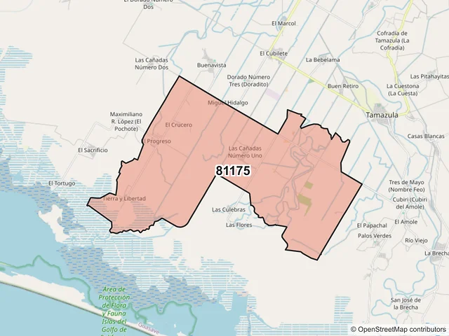 Mapa del código postal 81175, Guasave, Sinaloa