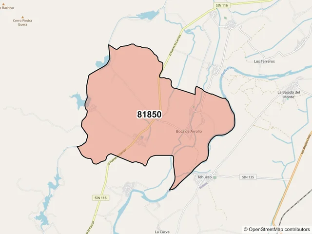 Mapa del código postal 81850, El Fuerte, Sinaloa