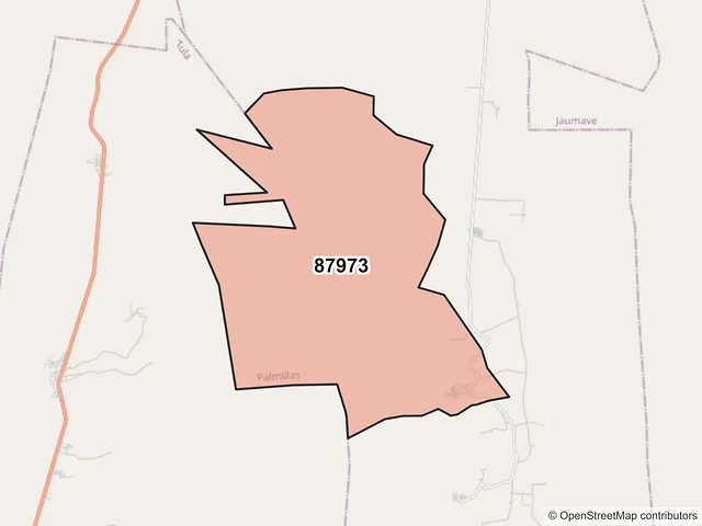 Mapa del código postal 87973, Palmillas, Tamaulipas