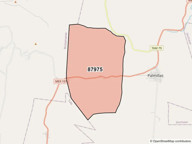 Mapa del código postal 87975, Palmillas, Tamaulipas