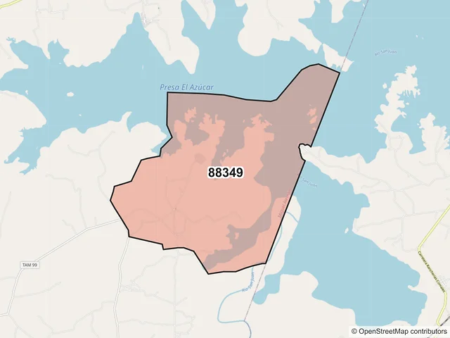 Mapa del código postal 88349, Miguel Alemán, Tamaulipas