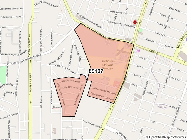 Mapa del código postal 89107, Tampico, Tamaulipas