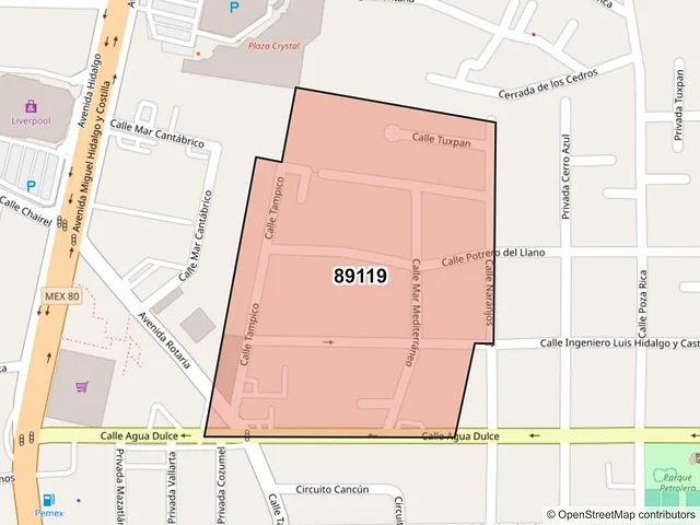 Mapa del código postal 89119, Tampico, Tamaulipas