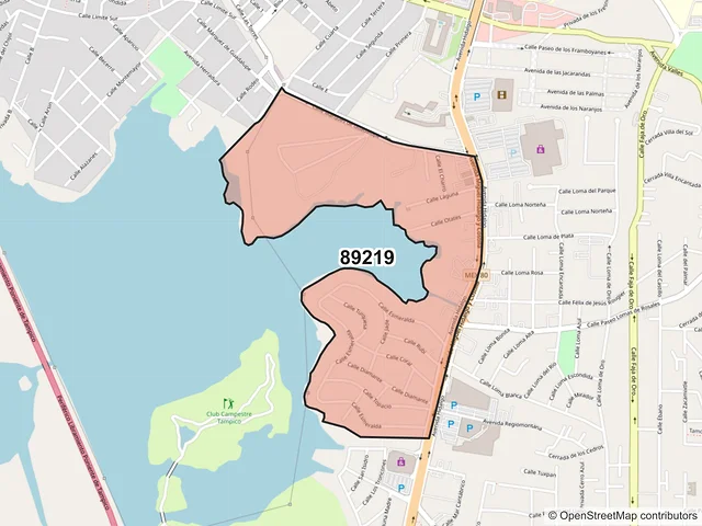 Mapa del código postal 89219, Tampico, Tamaulipas