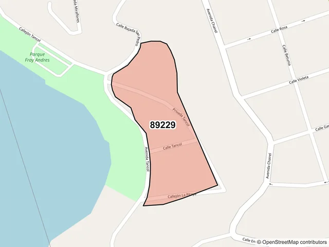Mapa del código postal 89229, Tampico, Tamaulipas