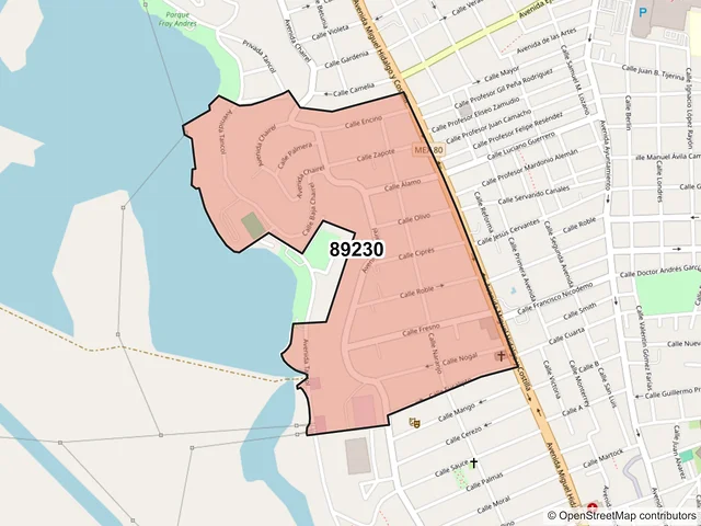 Mapa del código postal 89230, Tampico, Tamaulipas