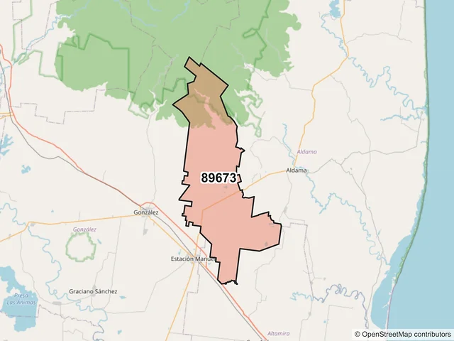Mapa del código postal 89673, Aldama, Tamaulipas