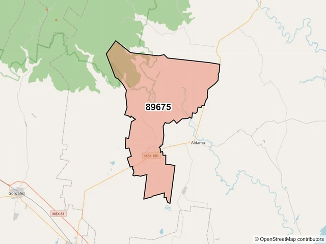 Mapa del código postal 89675, Aldama, Tamaulipas