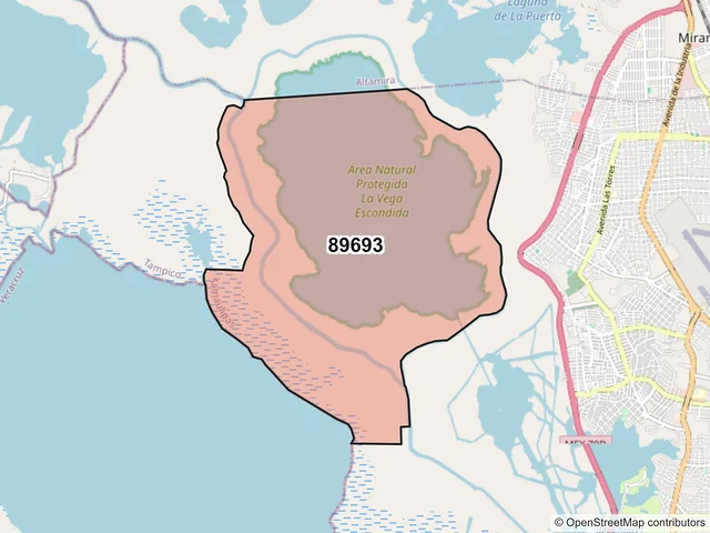 Mapa del código postal 89693, Tampico, Tamaulipas