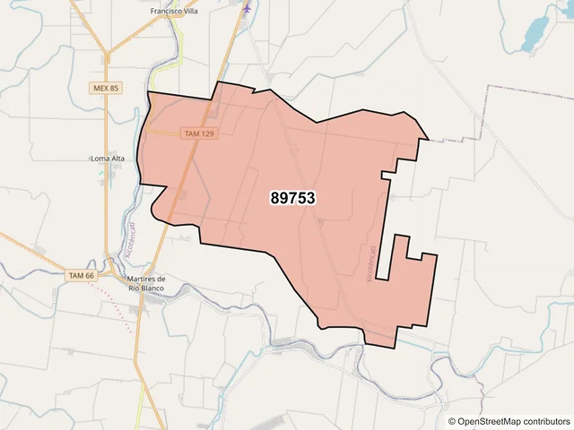 Mapa del código postal 89753, Xicoténcatl, Tamaulipas