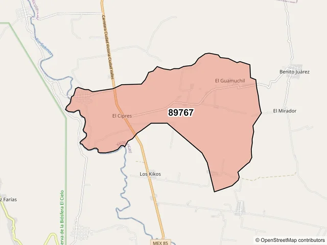 Mapa del código postal 89767, Xicoténcatl, Tamaulipas