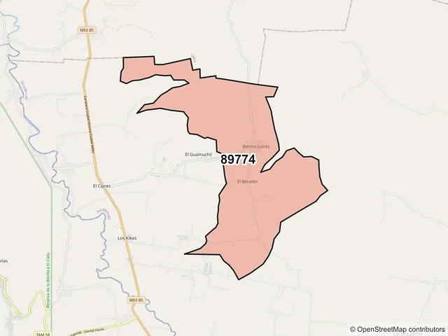 Mapa del código postal 89774, Xicoténcatl, Tamaulipas