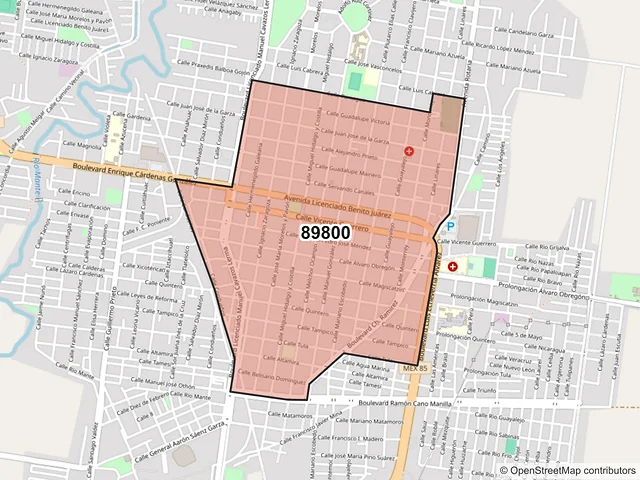 Mapa del código postal 89800, El Mante, Tamaulipas