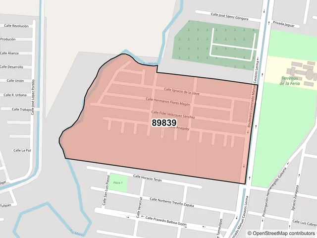 Mapa del código postal 89839, El Mante, Tamaulipas