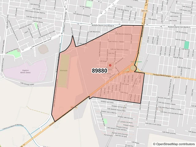 Mapa del código postal 89880, El Mante, Tamaulipas