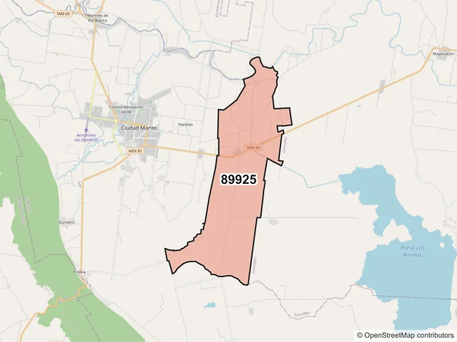 Mapa del código postal 89925, El Mante, Tamaulipas