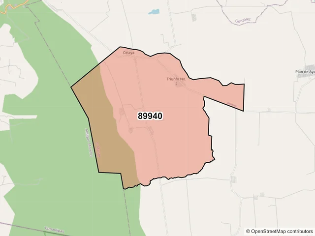 Mapa del código postal 89940, El Mante, Tamaulipas