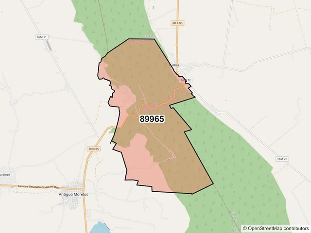 Mapa del código postal 89965, Antiguo Morelos, Tamaulipas