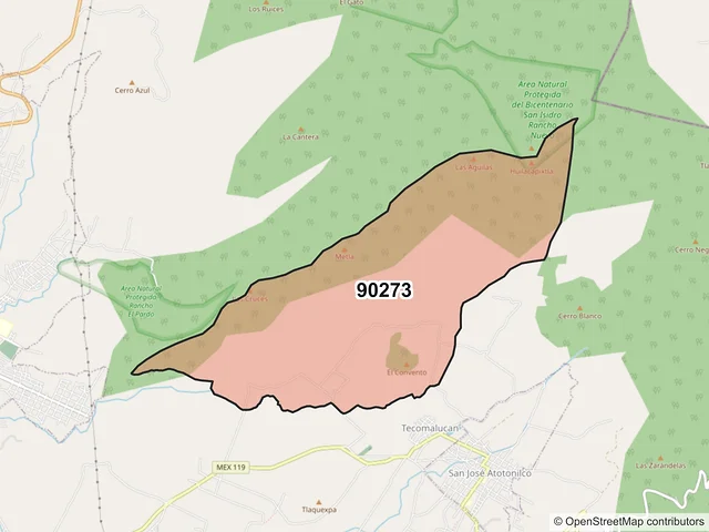Mapa del código postal 90273, Tlaxco, Tlaxcala