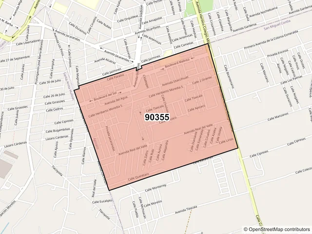 Mapa del código postal 90355, Apizaco, Tlaxcala