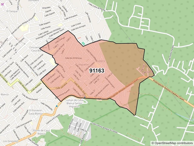 Mapa del código postal 91163, Xalapa, Veracruz de Ignacio de la Llave
