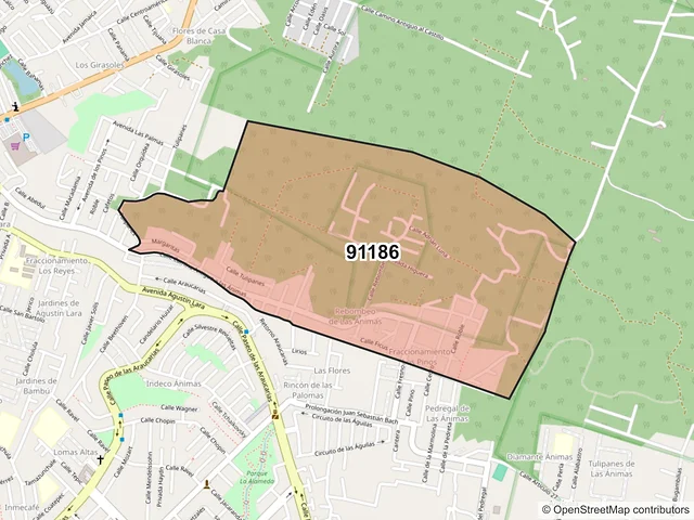 Mapa del código postal 91186, Xalapa, Veracruz de Ignacio de la Llave