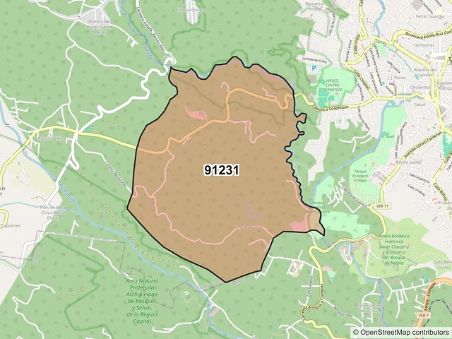 Mapa del código postal 91231, Tlalnelhuayocan, Veracruz de Ignacio de la Llave