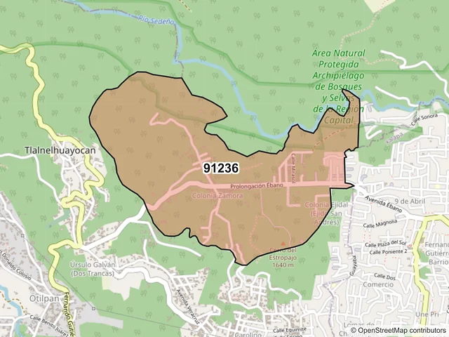 Mapa del código postal 91236, Tlalnelhuayocan, Veracruz de Ignacio de la Llave