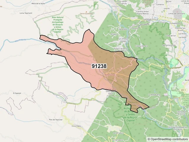 Mapa del código postal 91238, Tlalnelhuayocan, Veracruz de Ignacio de la Llave