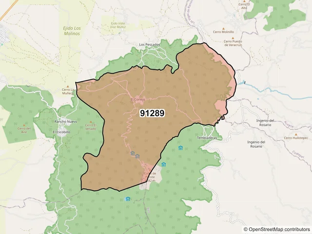 Mapa del código postal 91289, Perote, Veracruz de Ignacio de la Llave