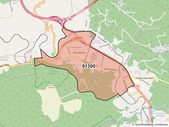 Mapa del código postal 91300, Banderilla, Veracruz de Ignacio de la Llave