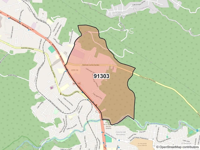 Mapa del código postal 91303, Banderilla, Veracruz de Ignacio de la Llave
