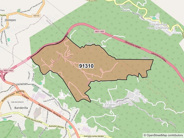 Mapa del código postal 91310, Banderilla, Veracruz de Ignacio de la Llave
