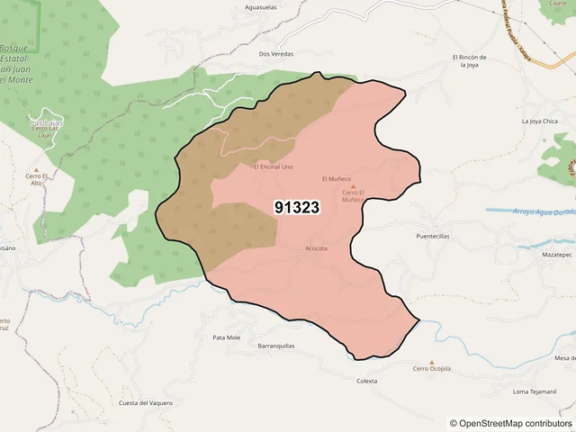 Mapa del código postal 91323, Acajete, Veracruz de Ignacio de la Llave