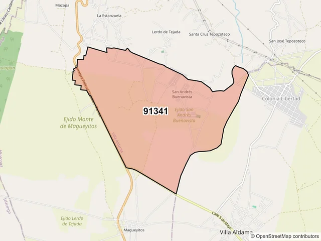 Mapa del código postal 91341, Villa Aldama, Veracruz de Ignacio de la Llave