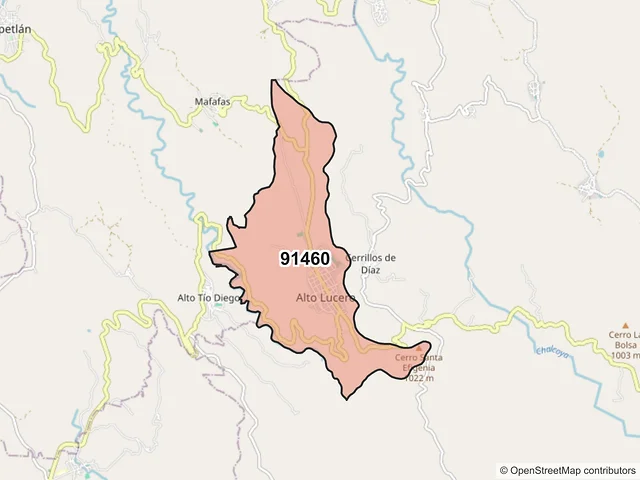 Mapa del código postal 91460, Alto Lucero de Gutiérrez Barrios, Veracruz de Ignacio de la Llave