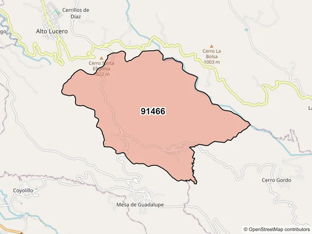 Mapa del código postal 91466, Alto Lucero de Gutiérrez Barrios, Veracruz de Ignacio de la Llave