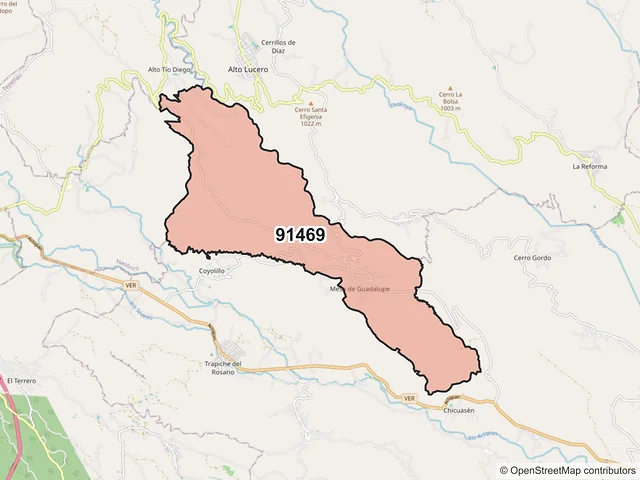 Mapa del código postal 91469, Alto Lucero de Gutiérrez Barrios, Veracruz de Ignacio de la Llave