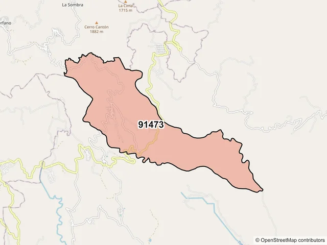 Mapa del código postal 91473, Alto Lucero de Gutiérrez Barrios, Veracruz de Ignacio de la Llave