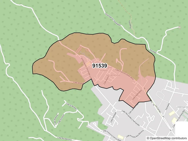 Mapa del código postal 91539, Coatepec, Veracruz de Ignacio de la Llave