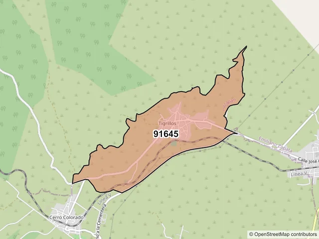 Mapa del código postal 91645, Apazapan, Veracruz de Ignacio de la Llave