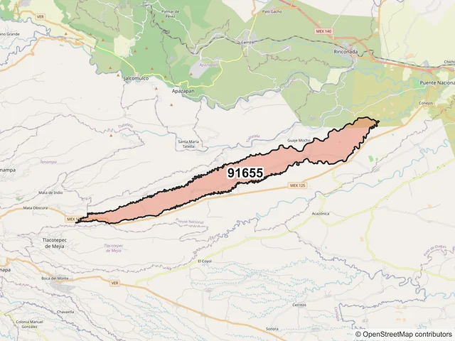 Mapa del código postal 91655, Puente Nacional, Veracruz de Ignacio de la Llave