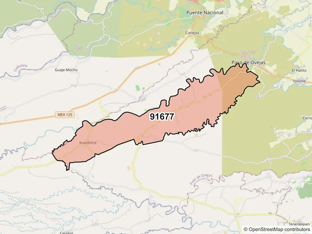 Mapa del código postal 91677, Paso de Ovejas, Veracruz de Ignacio de la Llave
