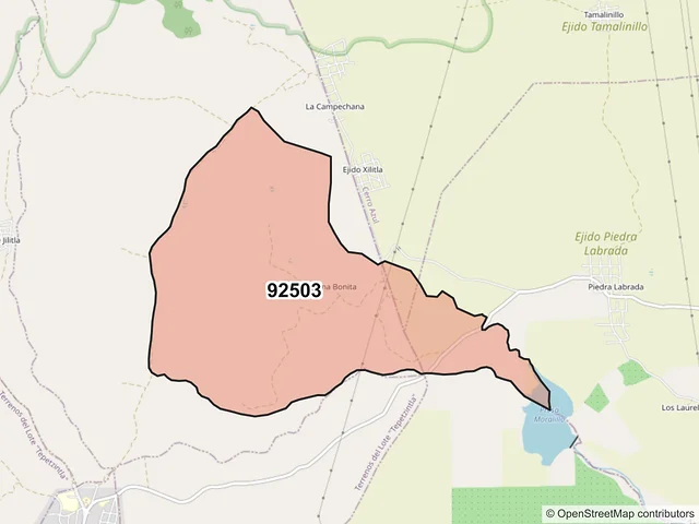 Mapa del código postal 92503, Cerro Azul, Veracruz de Ignacio de la Llave