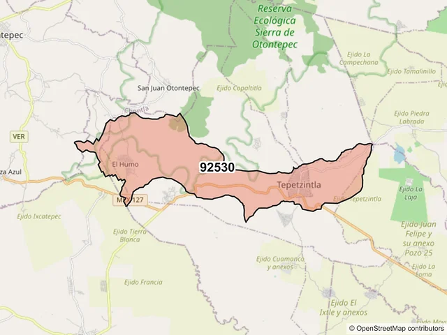 Mapa del código postal 92530, Tepetzintla, Veracruz de Ignacio de la Llave