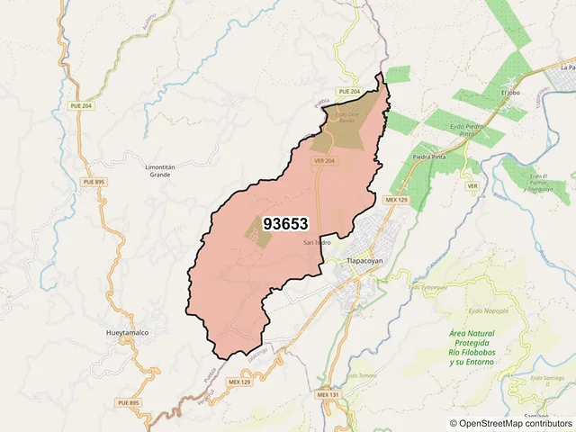 Mapa del código postal 93653, Tlapacoyan, Veracruz de Ignacio de la Llave