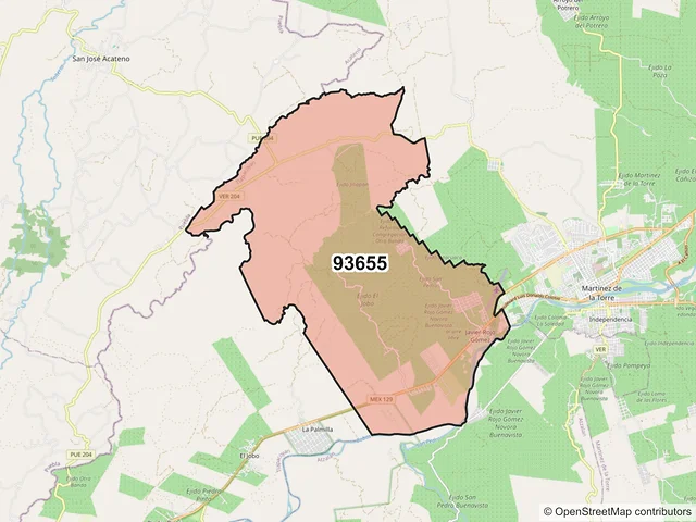 Mapa del código postal 93655, Tlapacoyan, Veracruz de Ignacio de la Llave