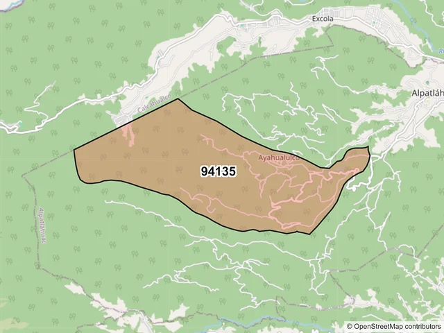Mapa del código postal 94135, Alpatláhuac, Veracruz de Ignacio de la Llave